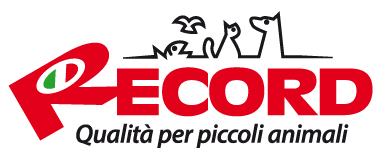 toelettandocongiorgia.it-logo-record-partner